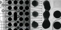 Figure 1. Solder ball shorts.